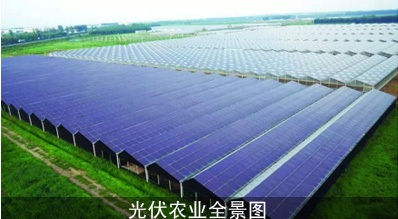 14824133702965970.jpg 14824133702965970.jpg